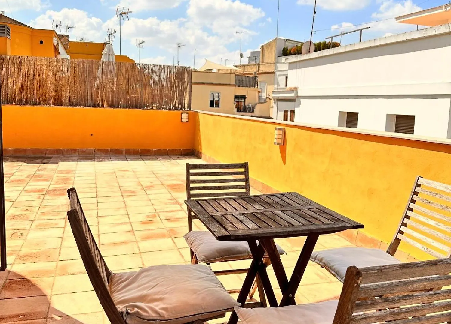 Penthouse Near Cathedral Private Rooftop Private Parking Seville Apartment